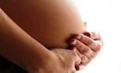 Fertilidad y Embarazo